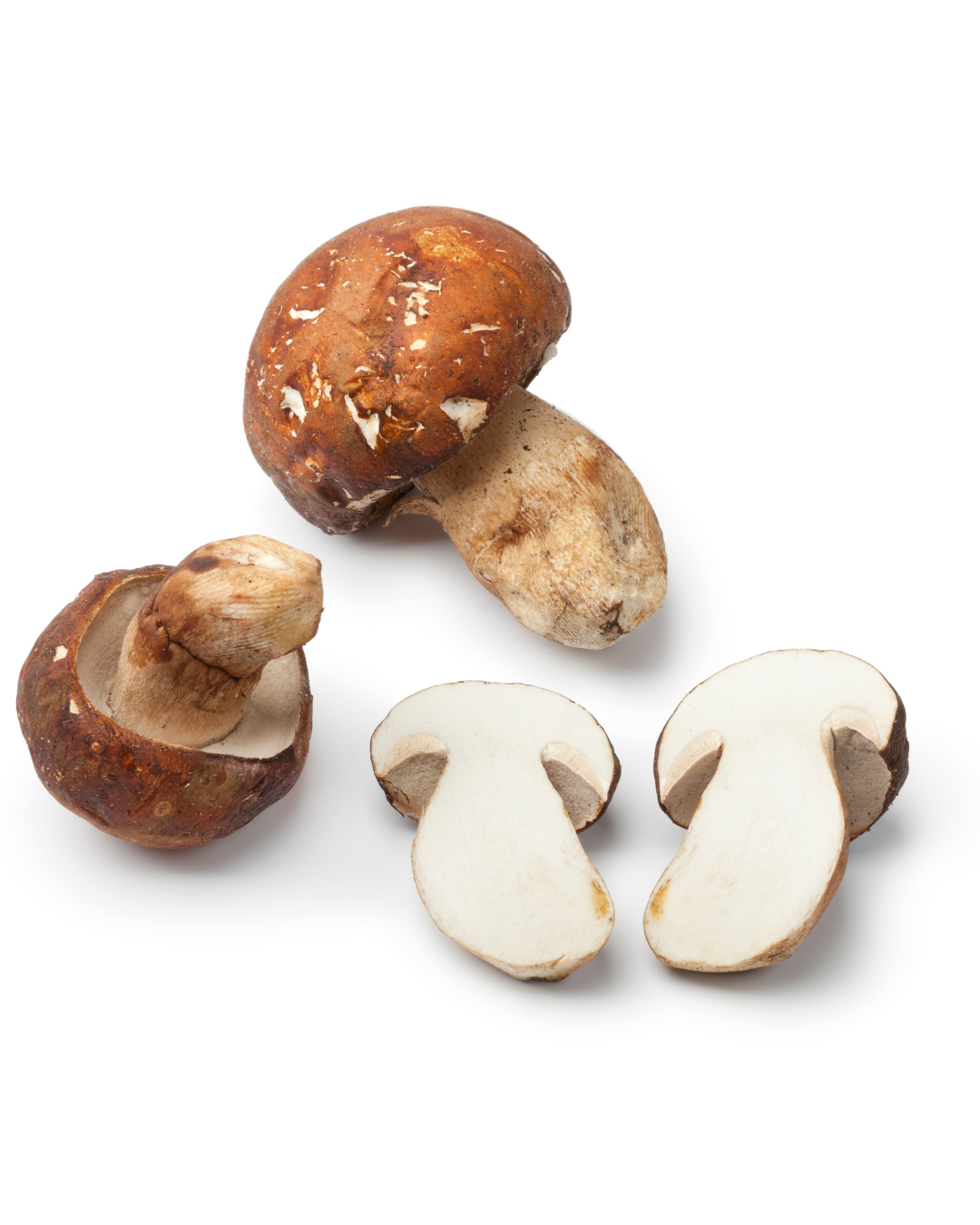 Erdei Vargánya II. osztály