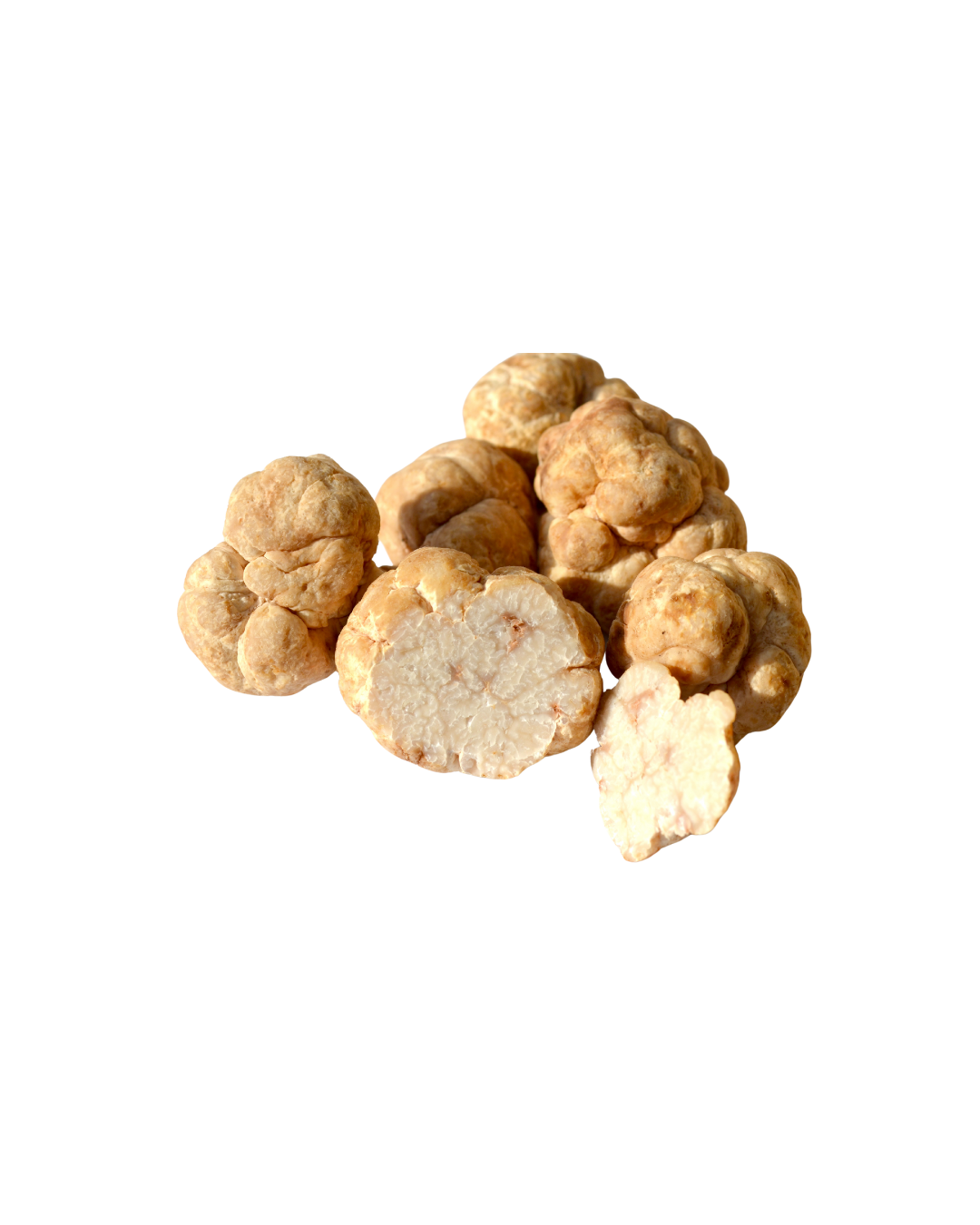 Homoki Szarvasgomba 100 g