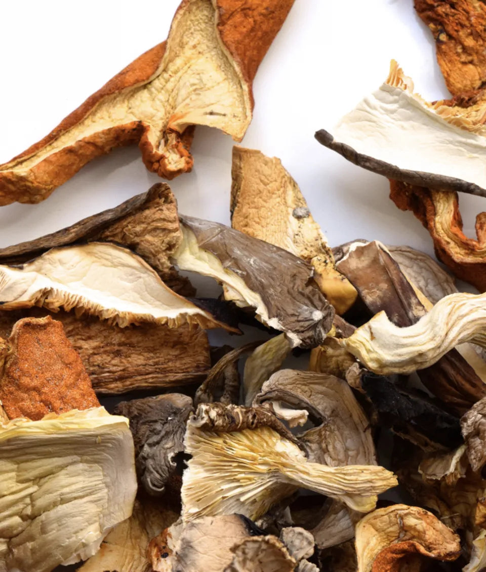 Szárított erdei gombák