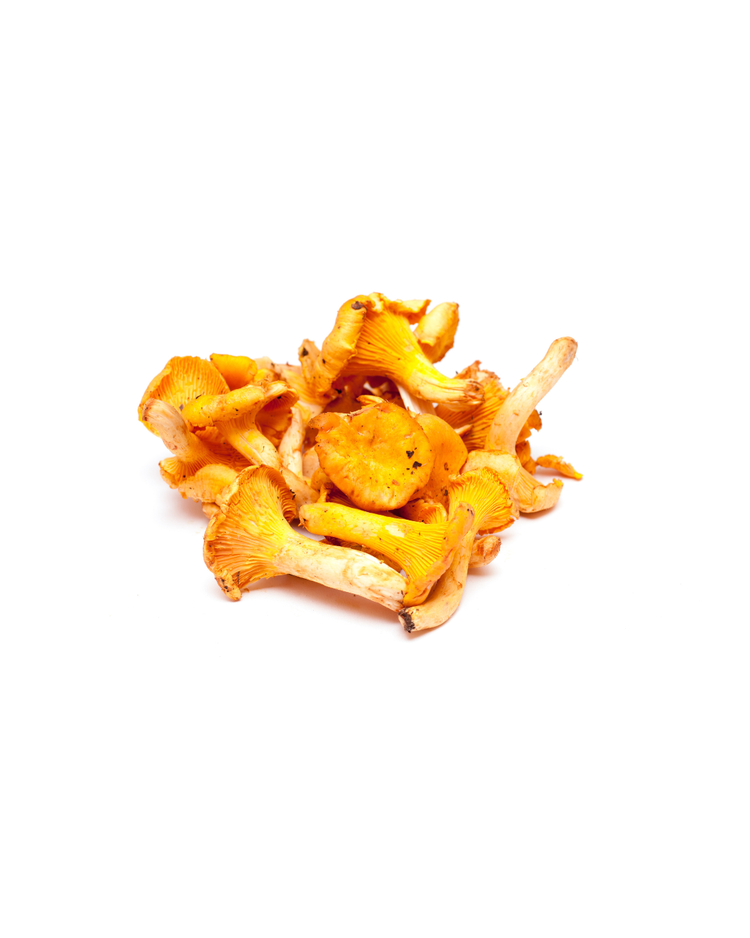 Sárga Rókagomba 1 kg