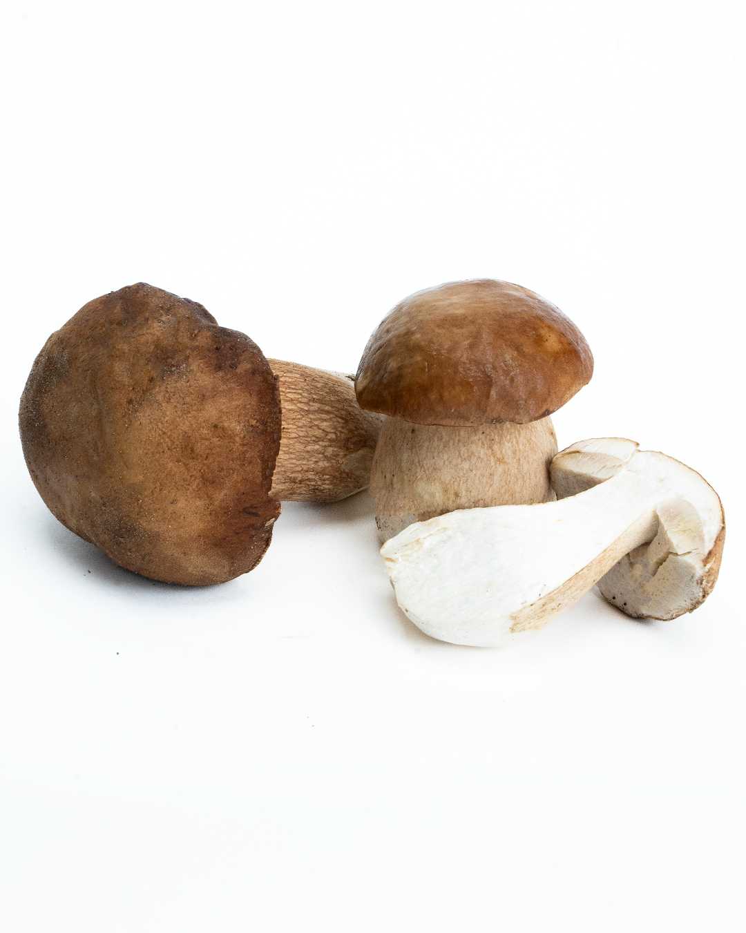 Erdei Vargánya I. osztály