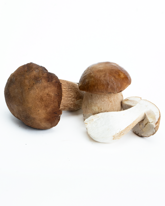 Erdei Vargánya I. osztály